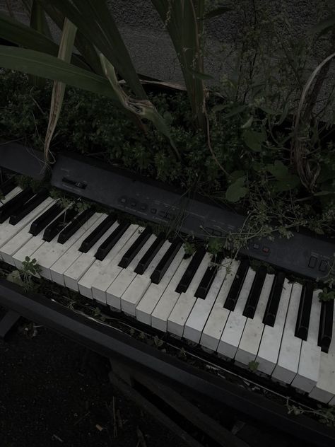 Piano abandonné avec de la végétation. Alma Core, Aria Core, Isaac Core, Abandoned Piano, Nagisa Kaworu, Fog Photography, Hogwarts Legacy, Music Aesthetic, Aesthetic Photo