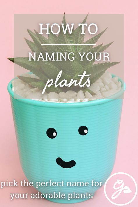 If you're looking for catchy monikers for your favorite leafy friends, click here for some humorous and cute names for plants. #nickname #plant #houseplant #gardenhumor #gardening #celebrity #bloom #shade House Plant Names, Cute Plant Names Ideas, Cute Names For Plants, Funny Plant Names, Plant Names Cute, Plant Names Ideas, Names For Plants, Indoor Plants Names, Pun Names