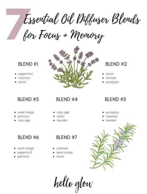 Memory Diffuser Blend, Essential Oils For Focus Diffuser Blends, Essential Oil Recipes For Focus, Focus Essential Oil Blend Diffuser, Essential Oil Blends For Focus, Sweet Orange Essential Oil Blends, Rosemary Essential Oil Blends, Diffuser Blends For Focus, Youngliving Recipes