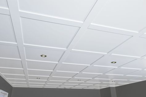 Suspended Ceiling Tiles, Basement Ceiling Options, Neutral Nurseries, Ceilings Design, Ceiling Options, Basement Fireplace, Meditation Inspiration, Basement Office, Basement Inspiration