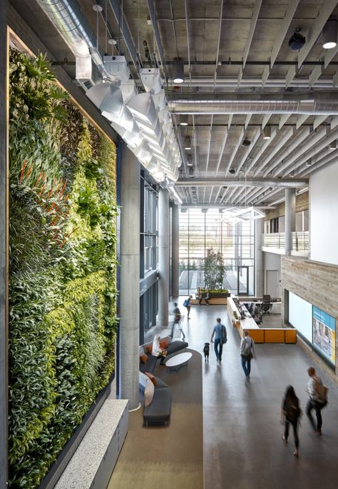 Corporate Values, Corporate Headquarters, Geothermal Energy, Modular Lounges, Cement Floor, Office Snapshots, Animal Hospital, Master Plan, Ceiling Windows