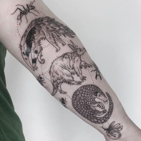 Pony Reinhardt Tattoo on Instagram: “Anteater, aardvark, and pangolin with firefly and African ants. 🐜🐜🐜🐜 Thanks Brianna! Done @tenderfootstudio” Pony Reinhardt Tattoo, Pony Reinhardt, Tattoo Bible, Coyote Tattoo, Black Line Tattoo, 4 Tattoo, Inspiration Tattoos, Cool Tattoos For Guys, Time Tattoos