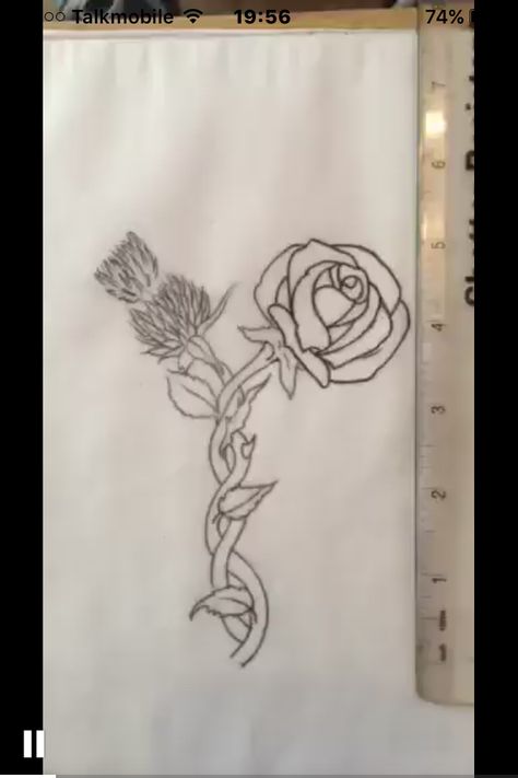 Tattoo design: English red rose and flower of Scotland the thistle flower entwined Rose And Thistle Tattoo, Entwined Flowers Tattoo, Entwined Tattoo, Scottish Rose Tattoo, Scottish Flowers Tattoo, Fine Line Scottish Thistle Tattoo, Thistle Rose Tattoo, English Rose And Scottish Thistle Tattoo, Tattoo October