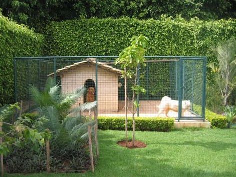 Dog Enclosures Outdoor, Garden Dog Area, Dog Outdoor Area, Doghouse Outdoor, Diy Dog Pen Outdoor, Dog Spaces Outdoor, Dog Run Ideas Backyard, Backyard Dog Kennel, Dog Kennel Ideas