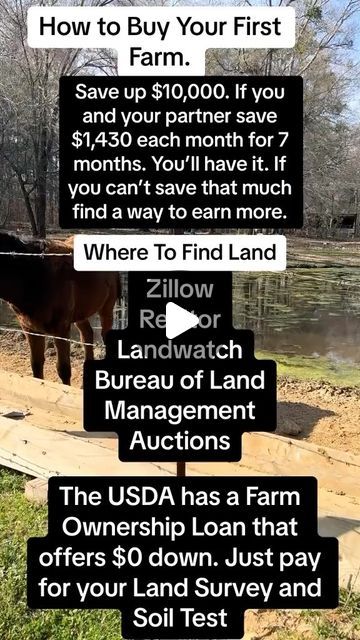 Follow, Comment, and DM “Farm” and I’ll send you a free business plan template to apply for grants that will pay for the land surve... | Instagram Buying Farm Land, Farm Business Plan, Buying Land, Free Business Plan, Startup Business Plan, Farm Business, Land Surveying, Money Saving Methods, Money Strategy