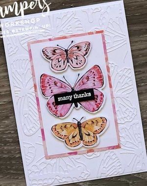 Butterfly Brilliance, Butterfly Bouquet, Butterfly Dragonfly, Butterfly Cards, Stamping Up Cards, Pretty Cards, Many Thanks, Itty Bitty, Cards To Make