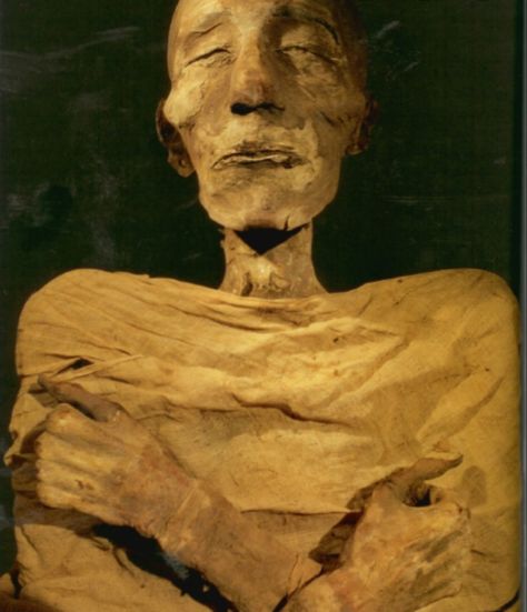 Egypt Mummy, Egypt Museum, Egyptian Mummies, Egypt Tours, Egyptian Pharaohs, Egypt History, Valley Of The Kings, Egyptian Mythology, Egyptian History