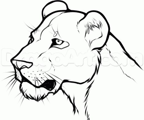 how to draw a lioness head step 6 Lioness Drawing, Lion Head Drawing, Lion Drawing Simple, Lion Sketch, Lioness Tattoo, Art 101, Female Lion, Lion Drawing, Animal Spirit