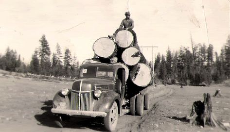 "Other" Brands of Logging Trucks | Heavy Equipment Forums Logging Camp, Camp Photos, Logging Trucks, Lumber Mill, Logging Equipment, Forestry Equipment, Antique Trucks, Classic Cars Trucks Hot Rods, Heavy Duty Trucks