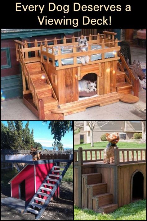 Give your beloved pet dog the ultimate treat by building a dog house with a viewing deck! Building A Dog House, Luxury Dog House, Viewing Deck, Wood Dog House, Modern Dog Houses, Build A Dog House, Indoor Dog House, Raised Deck, Pet Decor