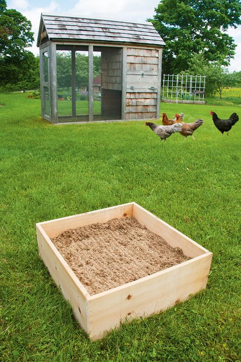 DIY Dust Bath For Your Chickens - Hobby Farms Dust Bath Box For Chickens, Diy Dust Bath For Chickens, Chicken Dirt Bath, Diy Dust Bath, Chicken Dust Bath Ideas, Dust Bath For Chickens, Jack Chicken, Urban Chicken, Urban Chicken Farming