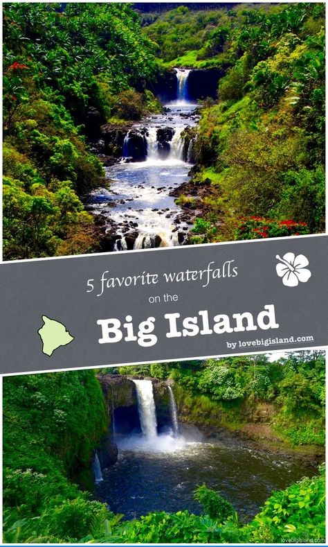 Our top 5 #waterfalls on the lush Hamakua coast on the Big Island #bigisland #hawaii #top5 Hawaii Waterfalls, Big Island Travel, Hawaii Adventures, Moving To Hawaii, Hawaii Travel Guide, Kona Hawaii, Hawaii Trip, Maui Vacation, Waterfall Hikes