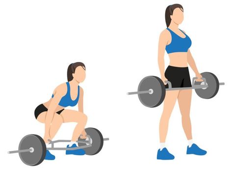 Deadlift Illustration, Deadlift Exercises, Hex Bar Deadlift, Deadlift Women, Glutes Workouts, Barbell Deadlift, People Illustrations, Strength Workouts, Vector People