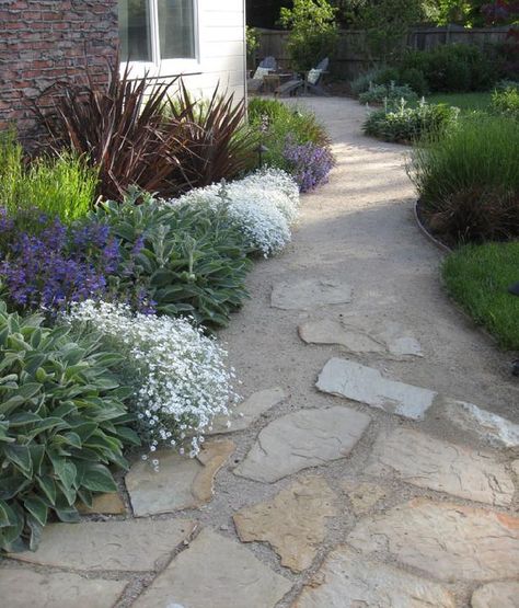 DG and flagstone combo and planting Dg And Flagstone Patio, Flagstone Path With Gravel, Flagstone And Decomposed Granite Patio, Flagstone Gravel Patio, Walkways Paths Side Of House Sidewalks, Dg Pathway Walkways, Flagstone Courtyard, Flagstone Patio Design, Flagstone Pathway