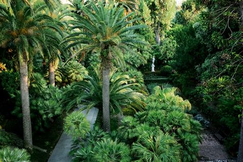 Villa Astor: How Paradise Was Restored on the Amalfi Coast | Sotheby’s Villa Astor, Dream House Garden, Rudolf Nureyev, Antique Sculpture, Gregory Peck, Princess Margaret, The Amalfi Coast, Passion Project, Lots Of Money