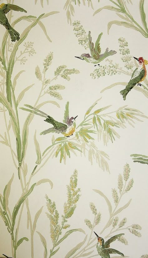 Augustine Wallpaper A printed wallpaper on a light cream background featuring colourful birds amongst muted green and beige wildflowers and plants. Colourful Birds, Printed Wallpaper, Muted Green, Cream Background, Light Cream, Designer Wallpaper, Birds, Cream, Plants