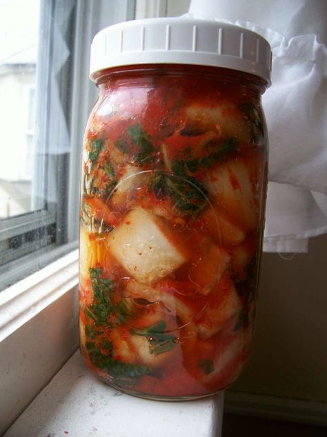 Kim Chee - Loooove Kimchee Recipe, Kimchi Recipe, Probiotic Foods, Chinese Cabbage, Fermenting, Fermented Foods, Kefir, Kimchi, Asian Dishes