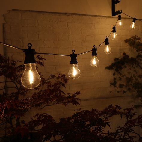 Festoon Lights, Black Pvc, Direct Lighting, Light Garland, Festoon Lighting, Filament Bulb, Party Lights, White Led Lights, Lamp Holder