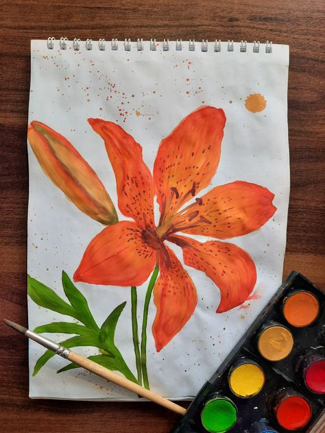 Watercolor Tiger Lily, Tiger Lily Drawing Simple, Tiger Lilly Drawing, Lily Pencil Drawing, Red Lily Tattoo, Tiger Lily Watercolor, Tiger Lily Drawing, Tiger Lily Painting, Lily Flower Sketch