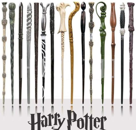 Harry Potter Stick, Magic Wand Harry Potter, Magical Pets, Amazing Magic Tricks, Noble Collection Harry Potter, Magic Tricks Revealed, Magic Tricks For Kids, Harry Potter Wands, Easy Magic Tricks