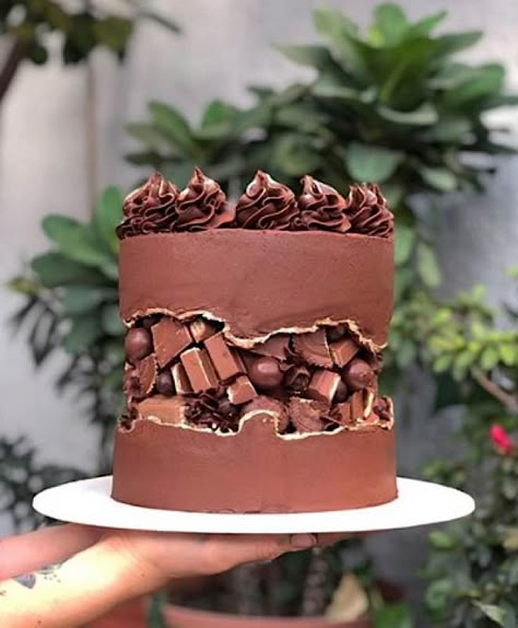 The Fault In Our Sweets — Cake Wrecks Chocolate Cake Designs, Millionaire Shortbread, Mini Torte, Cake Wrecks, Chocolate Cake Decoration, Cake Decorating Designs, Crazy Cakes, New Cake, Sweets Cake