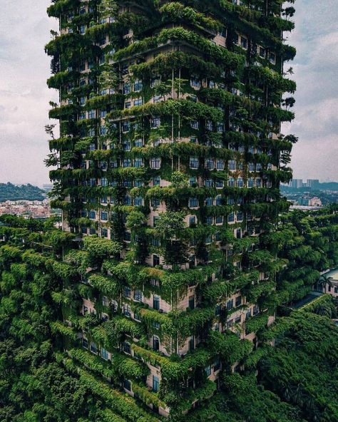 | MaisPlaneta / PlusPlanet ™ on Instagram: “A vertical forest in Foshan, China. 🌲🌳 This building is fortified with lush vegetation that fights air pollution by absorbing carbon…” China Pics, Vertical Forest, Living Modern, Places In Europe, Green City, Destination Voyage, Green Life, Urban Jungle, Hawaii Travel