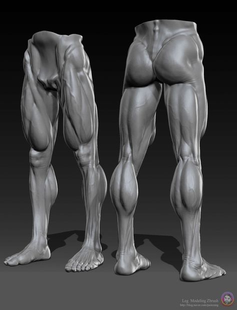 Sculpting Videos, Hands Anatomy, Zbrush Anatomy, Boichi Manga, Leg Anatomy, Human Muscle Anatomy, Human Anatomy Reference, Leg Muscle, 3d Anatomy