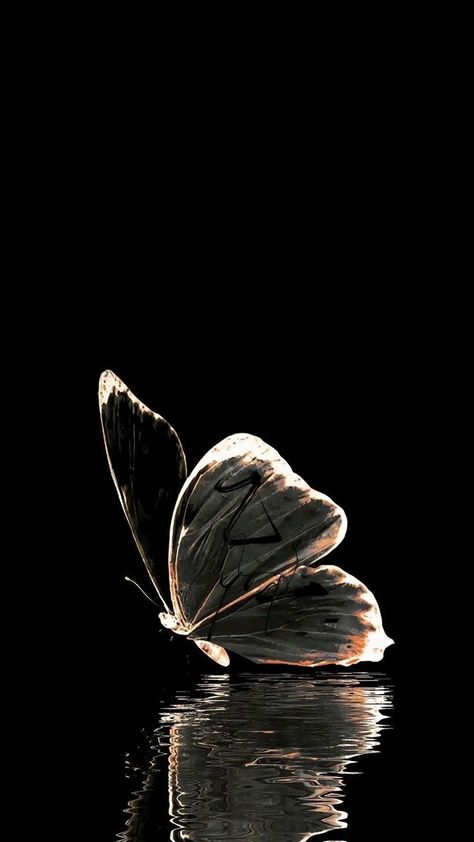 Black Butterflies Aesthetic, Iphone Wallpaper Texture, Phone Wallpaper Boho, Pretty Wallpapers Tumblr, Normal Wallpaper, Butterfly Wallpaper Backgrounds, Beautiful Butterflies Art, Print Design Art, Butterfly Wallpaper Iphone