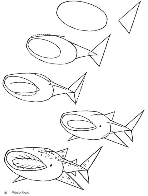 How to Draw Sharks By: Arkady Roytman. Welcome to Dover Publications How To Draw A Whale Shark Step By Step, Whale Shark Drawing Easy, How To Draw A Whale Shark, Shark Drawing Tutorial, Shark Drawing Easy, Whale Shark Drawing, Ocean Drawings, Spooky Drawings, Shark Stuff