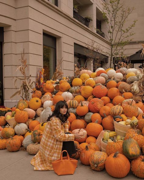 tiffany lai on Instagram: “in an alternate timeline where player #067 Sae-Byeok lives and gets to go pumpkin picking with her brother and maman 🧡 - coat gifted from…” Pumpkin Farm, Pumpkin Picking, Pumpkin Spice Season, Girls Pin, Apple Picking, Autumn Aesthetic, Hocus Pocus, Pretty Places, Her Brother