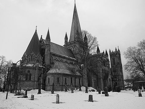 Nidaros CathedralTrondheim in Sør-Trøndelag county, Norway Life Of An Architect, Norway Viking, Architecture Collection, Gothic Castle, Gothic Cathedrals, Gothic Cathedral, Cathedral Architecture, Gothic Church, Old Churches