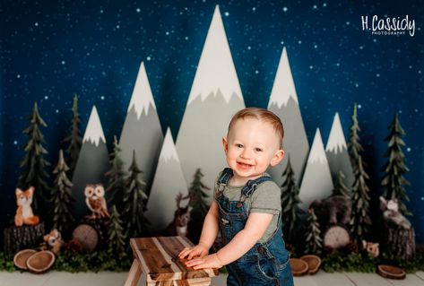 Woodland One Year Milestone Cake Smash Photography in Vail AZ I loved photographing this woodland themed cake smash session for Colton’s big first birthday! This session was extra special ... Woodland Cake Smash, Woodland Themed Cake, Cake Smash Photo Ideas, 1st Bday Shoot, Thomas Cake, Themed Cake Smash, Milestone Cake, Cake Smash Inspiration, Woodland Cake