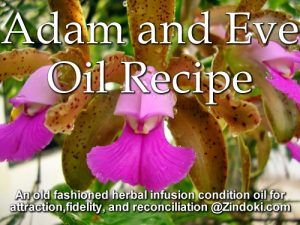 Adam and Eve Oil Recipe Adam And Eve Root, Essential Oil For Circulation, Money Oil Recipe, Dried Apple Chips, Magical Oils, Magick Oil, Orchid Roots, Diy Spices, Essential Oil Carrier Oils