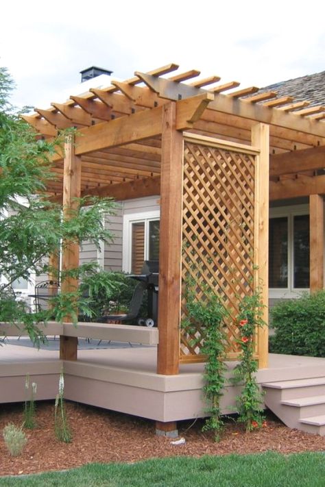 Pergola Diy, Garden Pergola, Pergola Swing, Building A Pergola, Pergola Attached To House, Metal Pergola, Wood Pergola, Pergola Garden, Pergola Design