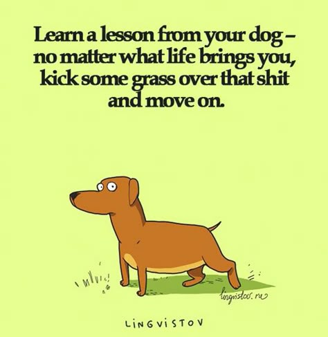 Animal Comic Sarkastisk Humor, Dog Quotes, Quotable Quotes, Move On, What Is Life About, No Matter What, Quotes Funny, Bones Funny, Great Quotes