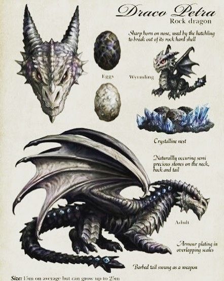 I love the look of this Dragon known as the rock dragon, but I would also call it a Black Dragon. Who here agrees? - - - -… Dragon Description, Rock Dragon, Dragon Anatomy, Types Of Dragons, Dragon Illustration, Dragon Pictures, Green Dragon, Dragon Artwork, Mythical Creatures Art