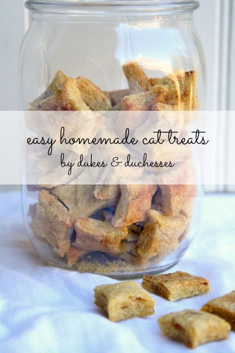 Homemade Cat Treats Easy, Homemade Cat Treats, Homemade Cat Treats Recipes, Pet Recipes, Homemade Pet Treats, Pet Treats Recipes, Homemade Cat Food, Animal Food, Homemade Cat