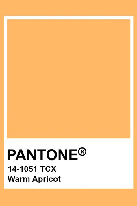 Pantone Warm Apricot Yellow Pantone Colour Palettes, Apricot Pantone, Orange Pantone, Apricot Colour, Pantone Orange, Pantone Tcx, Pantone Color Chart, Pantone Swatches, Pantone Palette