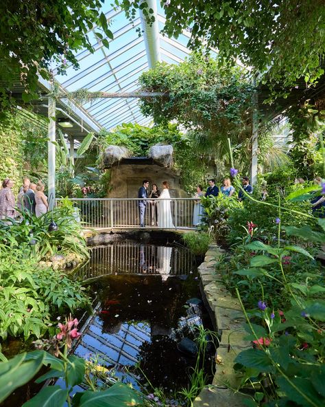 Dylan + Dana ✨ 05.04.2024 ✨ I will always say yesssss to weddings with butterflies 🦋 The Cambridge Butterfly Conservatory has quickly become one of my favourite venues in the past year. Not only is it a stunning spot, but their staff is also awesome to work with. D + D and I hit it off from the get go with our shared love of Star Wars and that love followed through into their wedding. Those photos to be posted in the future. Thought I would start with the classic wedding shots first 💍 Ve... Butterfly Conservatory Wedding, Butterfly Conservatory, Conservatory Wedding, That's Love, Wedding Shots, Classic Wedding, Wedding Classic, Cambridge, My Favourite