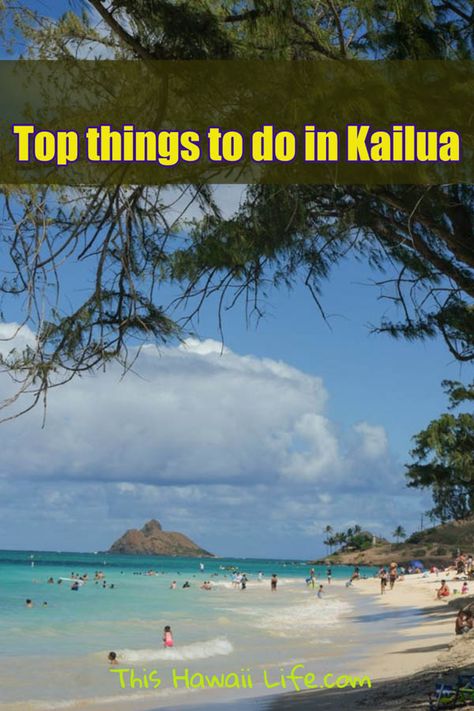 Kailua Oahu, Kailua Hawaii, Castle Beach, Kailua Beach, Oahu Travel, Hawaii Things To Do, Travel Hawaii, Bar Scene, Visit Usa