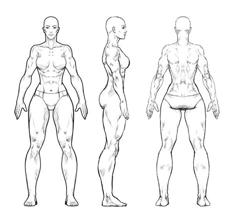 Sketches Body Anatomy, Body Anatomy Female, Art Sketches Body Anatomy, Anatomy Woman, Anatomy Female, Lady Mechanika, Body Draw, Comic Sketch, Comic Book Drawing