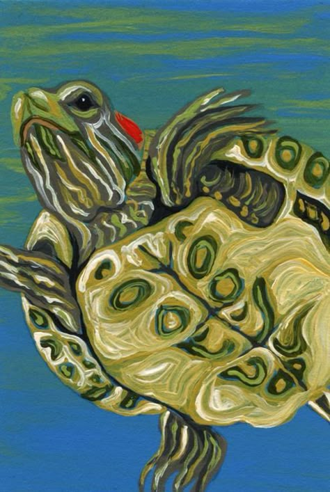 Tortoise Painting Acrylic, Red Ear Slider, Turtle Pet, Tortoise Drawing, Red Eared Slider Turtle, Slider Turtle, Red Eared Slider, Artist Trading Card, Turtle Drawing