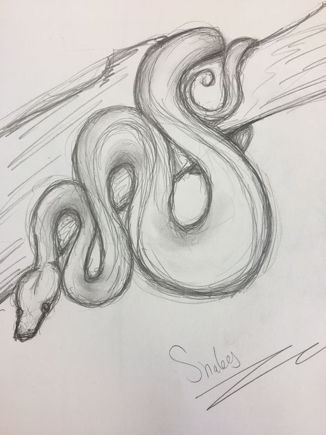 Snake Sketch Tutorial, Snake In A Tree Drawing, Drawing Of Lizard, Ball Python Drawing Sketch, Art Sketches Snake, Drawing Ideas Snake Easy, Sneak Drawing, Aesthetic Snake Drawing, Cool Animals To Draw