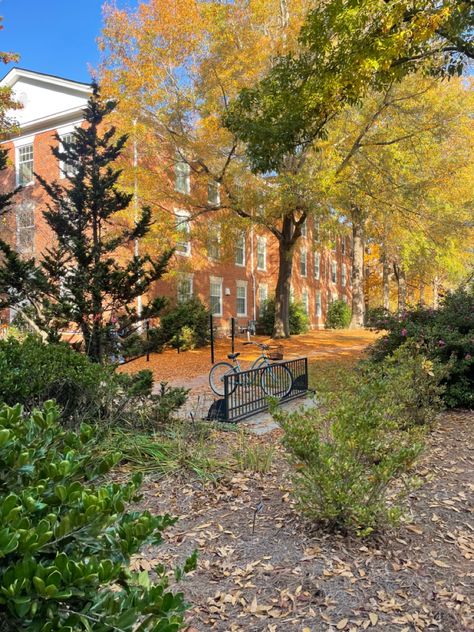 Elon University Aesthetic, Aesthetic Person, November Mood, Elon University, University Aesthetic, College Vision Board, 2024 Goals, College List, American Dream