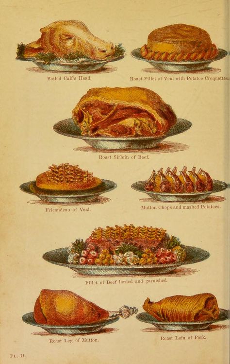 Edwardian Food, Victorian Recipes, 1800s Aesthetic, Dana Terrace, Dog Breeds List, Food Illustration Art, King Food, Vintage Cooking, Food Charts