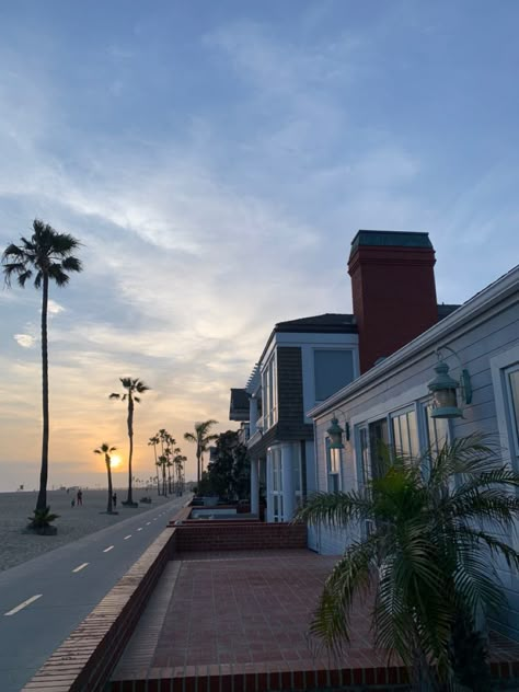 palm trees and sun set in newport beach california California Houses Aesthetic, California Mom Aesthetic, Newport California Aesthetic, Newport Beach Aesthetic, Newport Beach California Aesthetic, California House Aesthetic, La California Aesthetic, Malibu California Aesthetic, Beach City Aesthetic