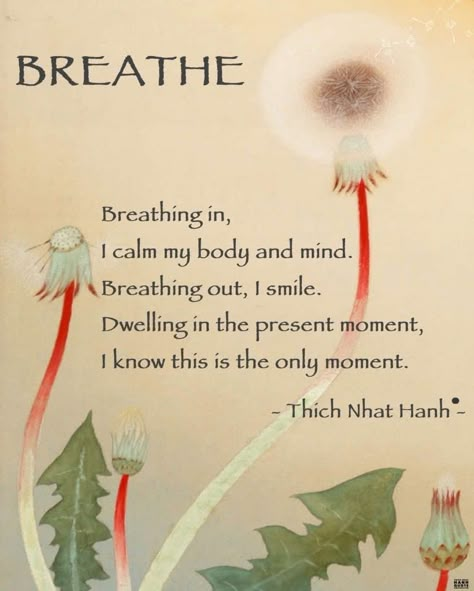 Thich Nhat Hanh Quotes Mindfulness, Eckart Tolle, Yoga Reading, Thich Nhat Hanh Quotes, Quotes Mindfulness, Zen Quotes, Buddhist Wisdom, Buddhism Quote, Zen Buddhism