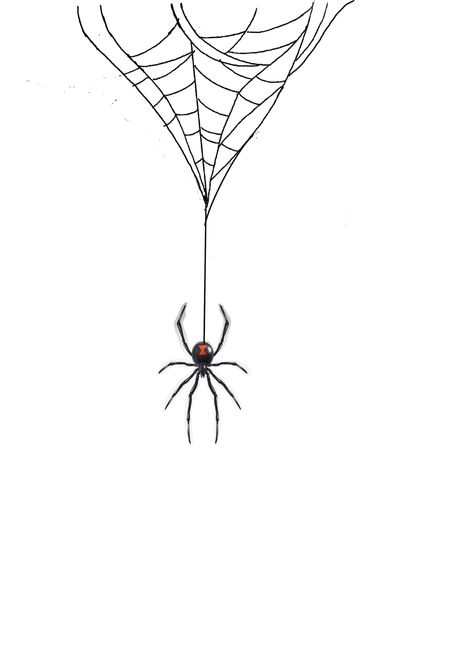 Hanging Spider Drawing, Spider Hanging From Web Drawing, Spider With Web Tattoo, Spider Hanging From Web Tattoo, Spider Web Drawing, Spider Drawing, Spider Web Tattoo, Web Tattoo, Spiderman Drawing