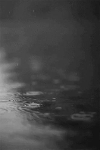 Rain GIF - Rain - Discover & Share GIFs Jim Harrison, Rain Gif, Cold Rain, I Love Rain, Love Rain, Rainy Night, Water Ripples, It's Raining, Aesthetic Gif