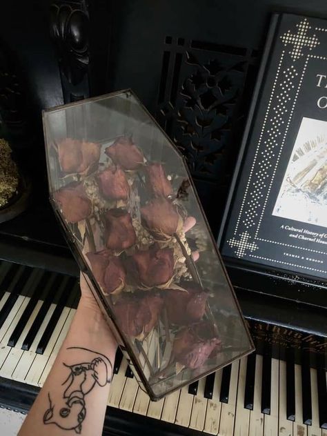 Glass Coffin Decor, Coffins Aesthetic, Oddities Wedding, Coffin Aesthetics, Coffin With Flowers, Coffin Aesthetic, Coffin Flowers, Glass Coffin, Anniversary Years